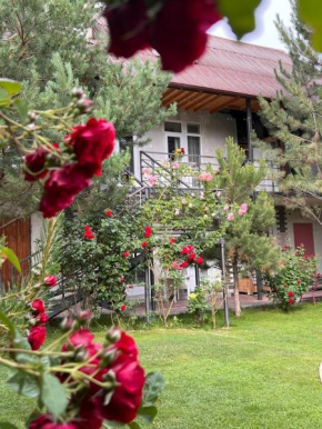 Podsolnukhi Guest House